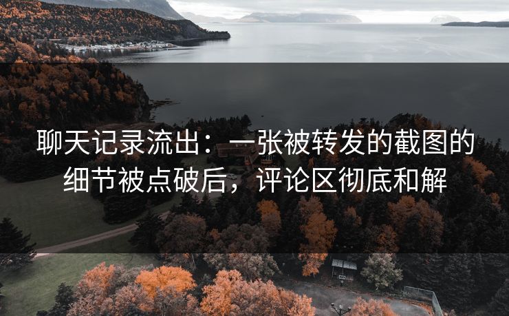 聊天记录流出:一张被转发的截图的细节被点破后,评论区彻底和解 聊天记录流出:一张被转发的截图的细节被点破后,评论区彻底和解