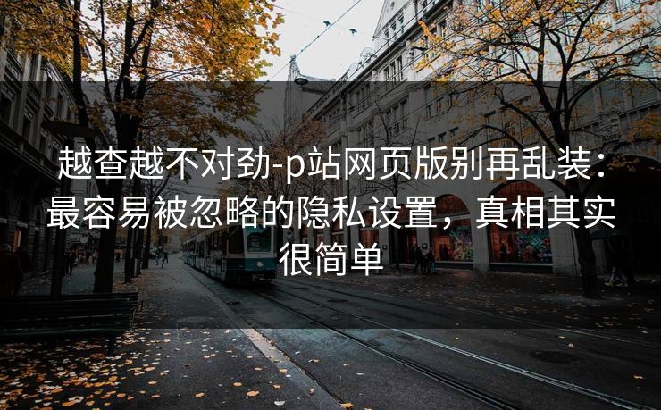 越查越不对劲-p站网页版别再乱装：最容易被忽略的隐私设置，真相其实很简单