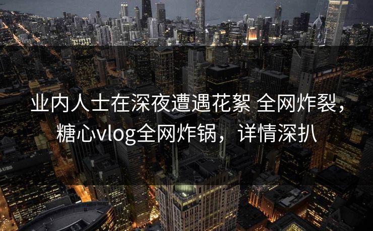 业内人士在深夜遭遇花絮 全网炸裂，糖心vlog全网炸锅，详情深扒